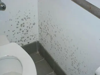 mold-in-bathroom